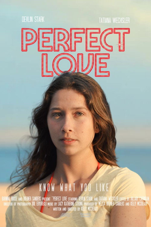 Perfect Love poster