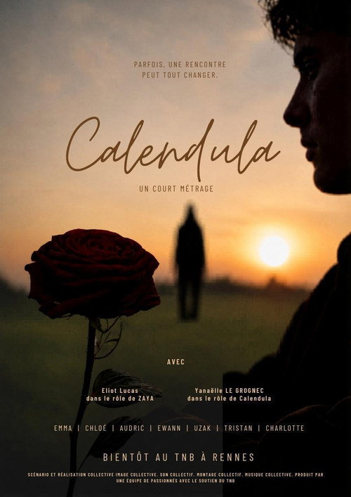 Calendula poster