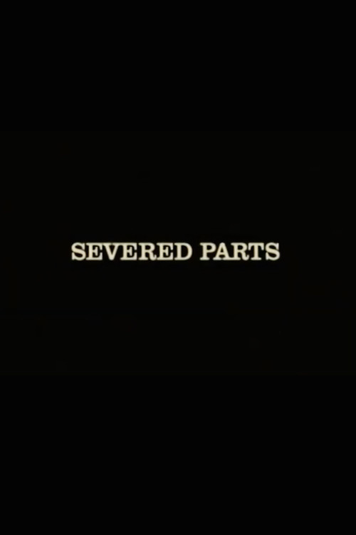 The Texas Chainsaw Massacre: Severed Parts poster