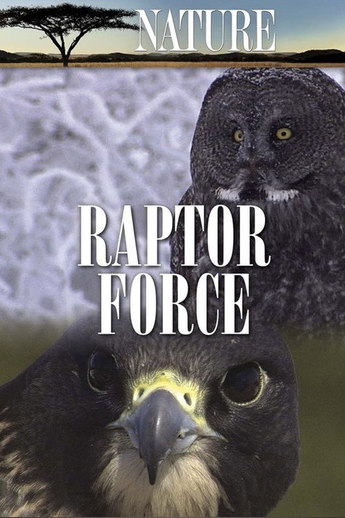Raptor Force poster