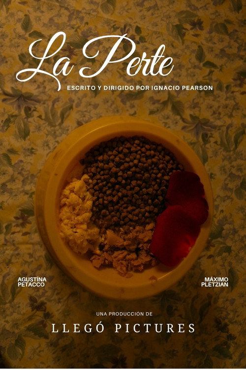 La Perte poster
