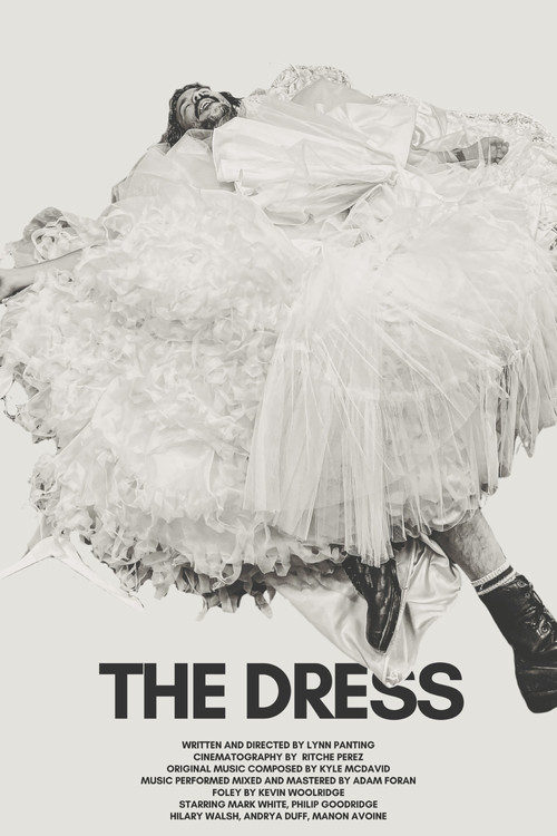 The Dress poster