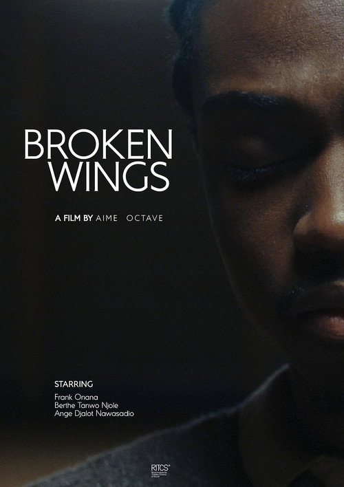 Broken Wings poster