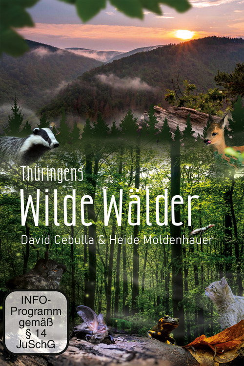 Wild Forests poster