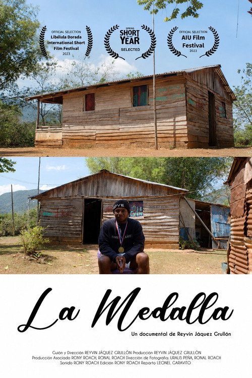 La Medalla poster