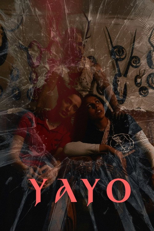 Yayo poster