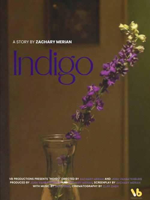 INDIGO poster