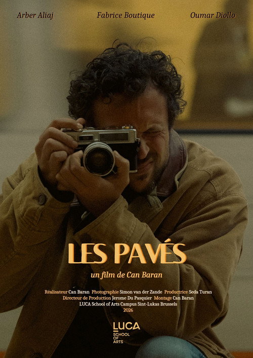 Pavers poster