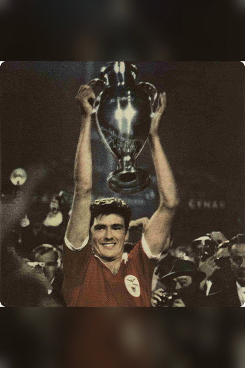 A Conquista da Europa poster