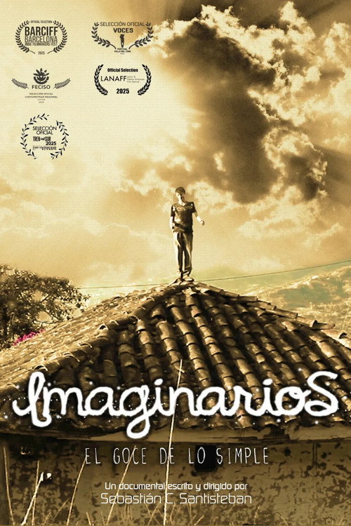 2013: Imaginarios, el goce de lo simple poster