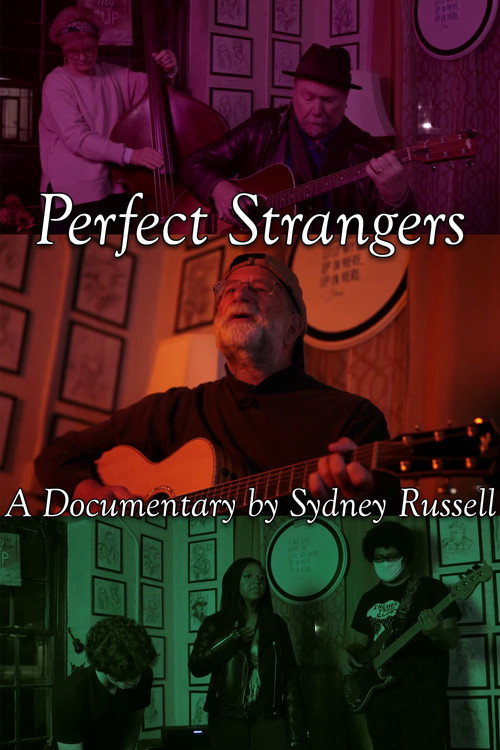 Perfect Strangers poster