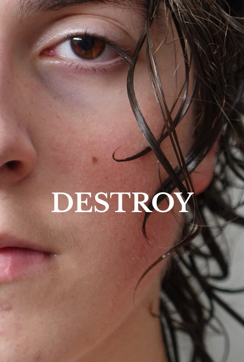 Destroy poster