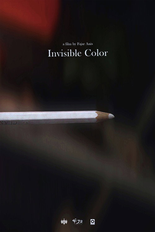 Invisible Color poster