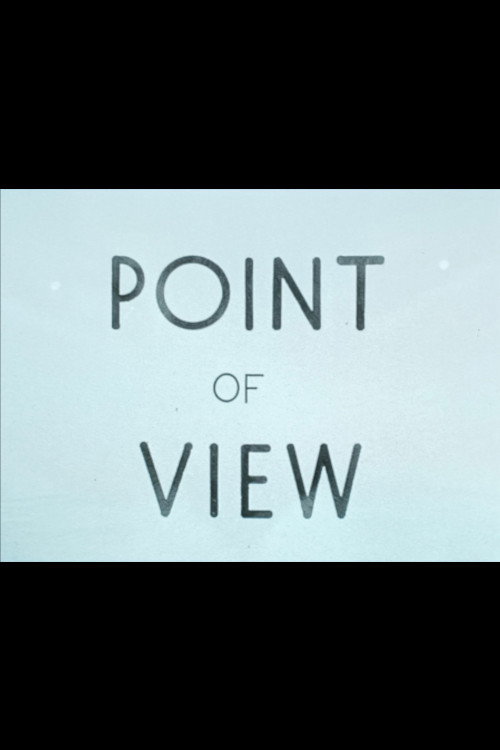 Point of View poster