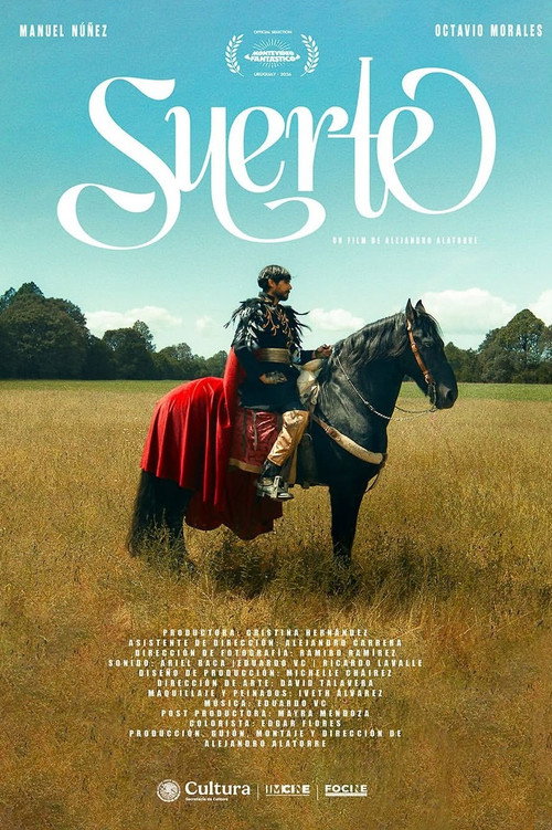 Suerte poster