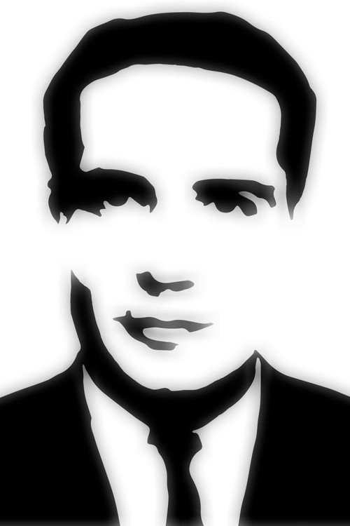 François Mitterrand, le roman du pouvoir poster