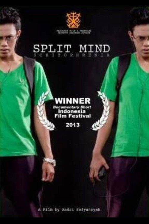 Split Mind poster