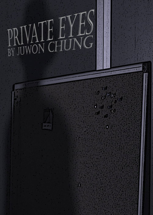 Private Eyes poster