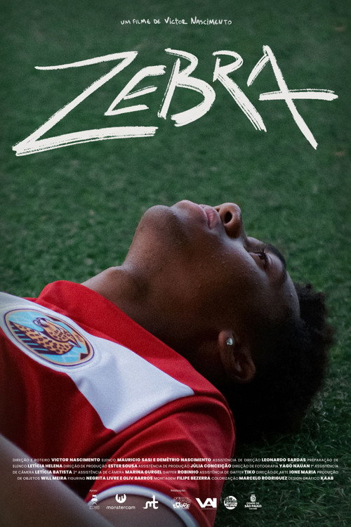 Zebra poster