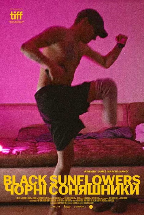 Black Sunflowers poster