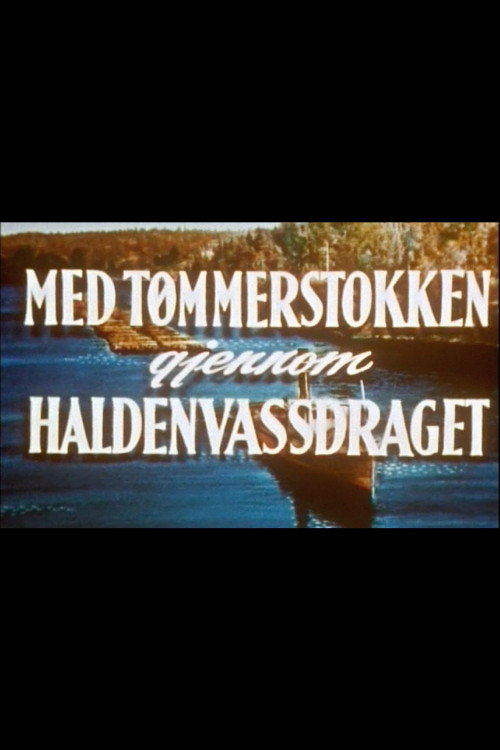 Med tømmerstokken gjennom Haldenvassdraget poster