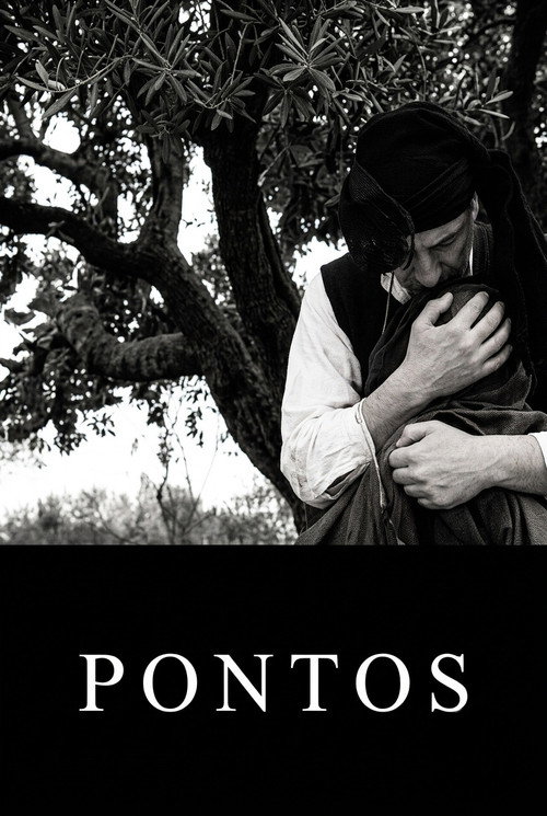 Πόντος poster