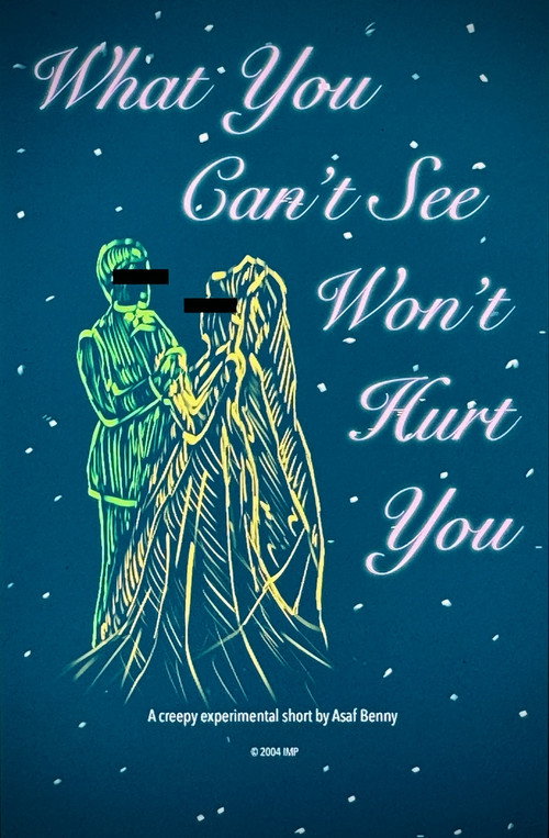 What You Can't See Won't Hurt You poster