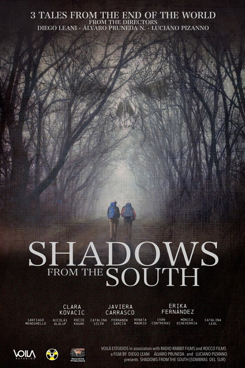 Shadows From The South poster