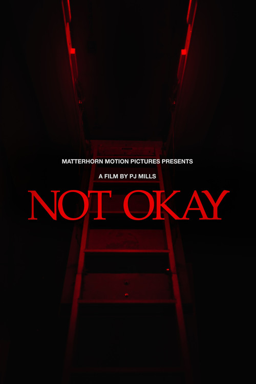 Not Okay poster