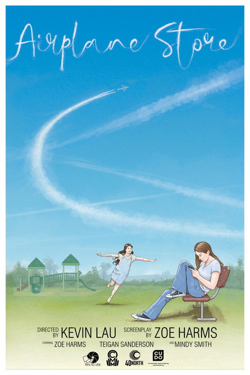 Airplane Store poster