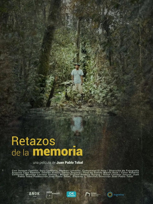 Remnants of memory poster