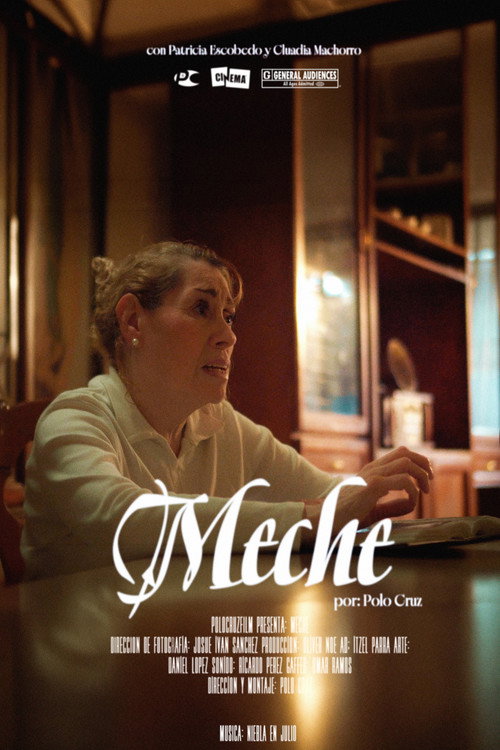 Meche poster