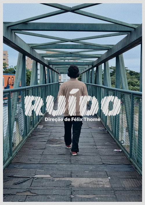 Ruído poster