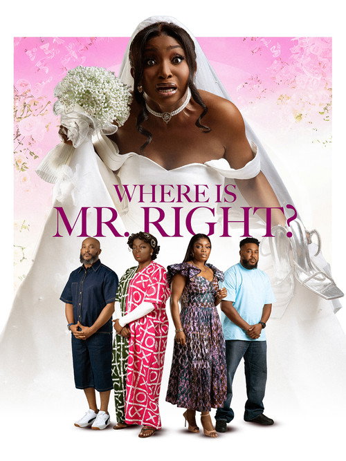 Where is Mr Right poster