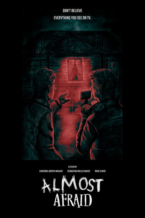 Almost Afraid poster