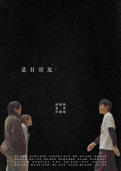 Pleasant Visit poster