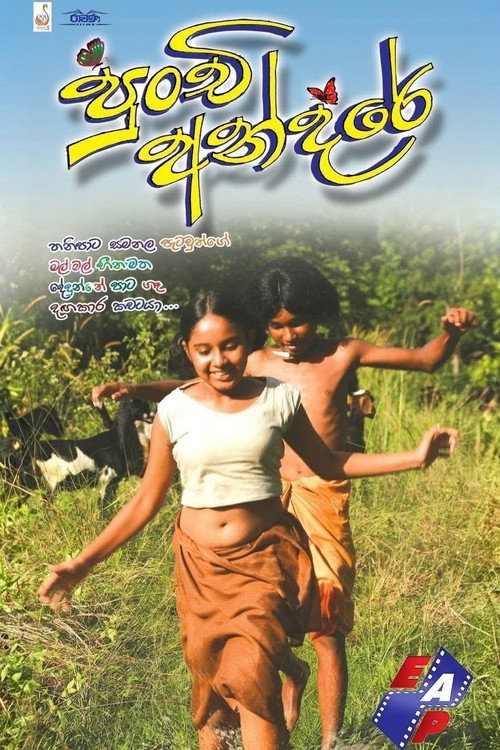 Punchi Andare poster