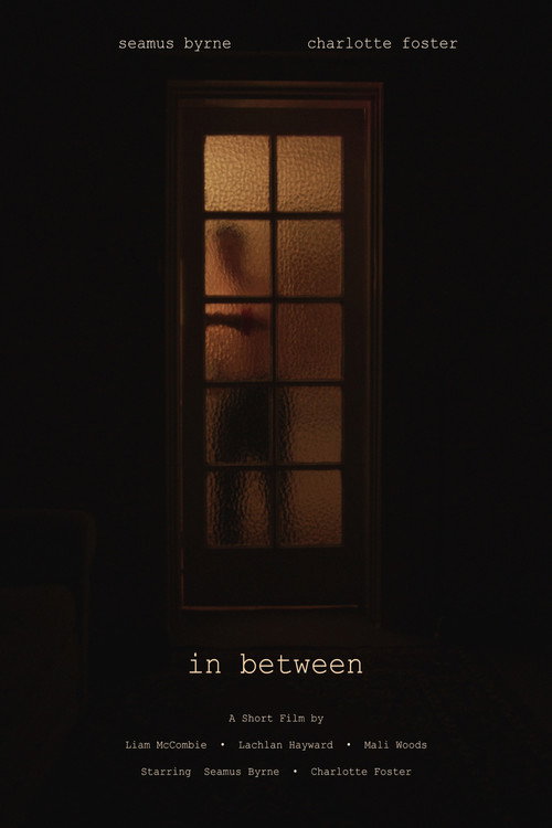 in between poster