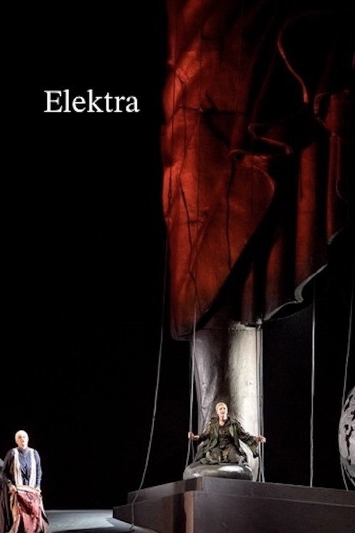 Elektra - Wiener Staatsoper poster