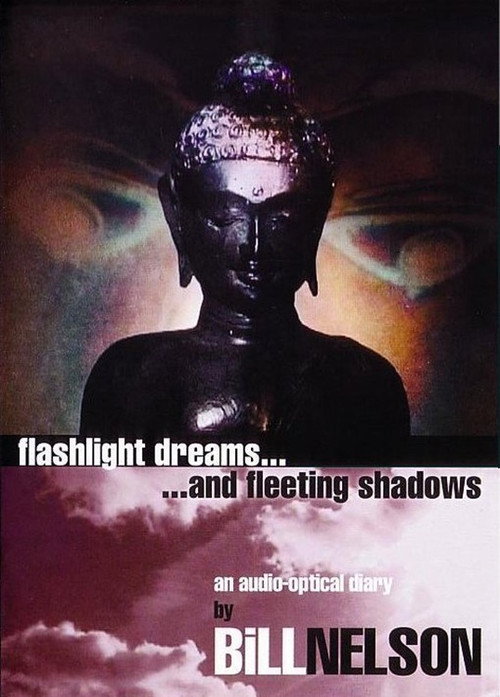 Flashlight Dreams and Fleeting Shadows: an Audio-Optical Diary by Bill Nelson poster