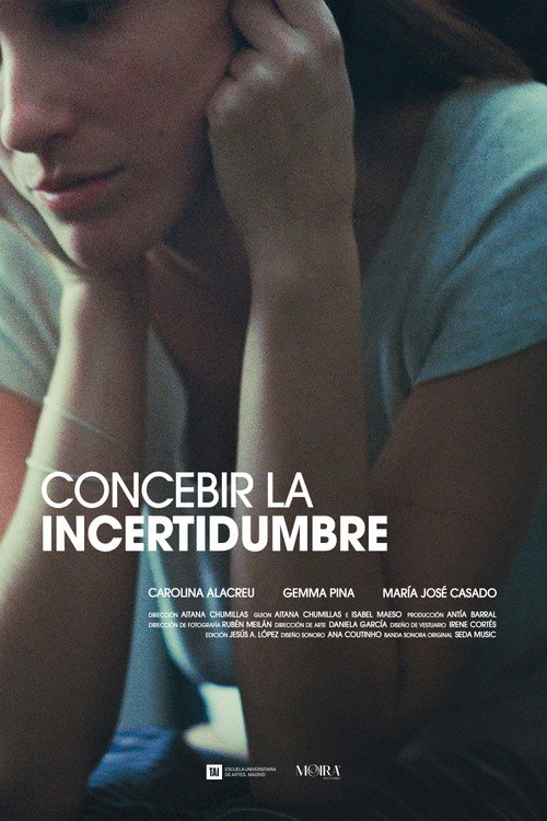 Conceiving Uncertainty poster