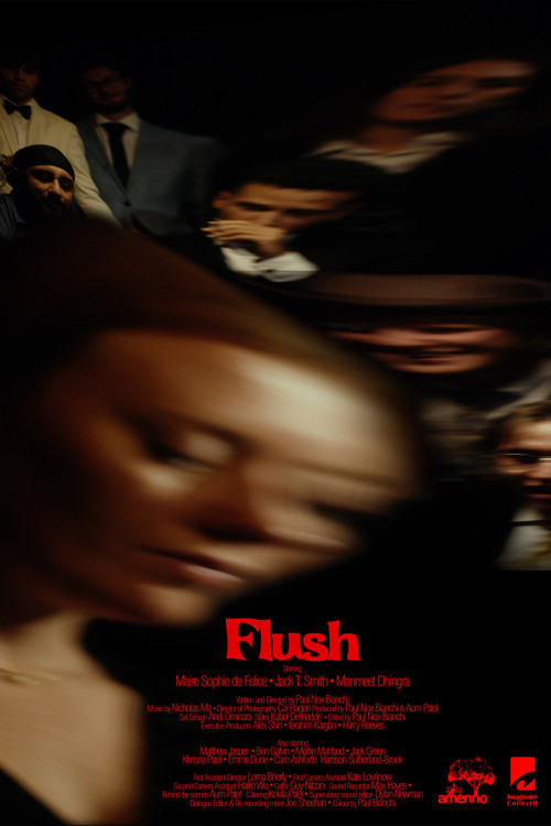 Flush poster