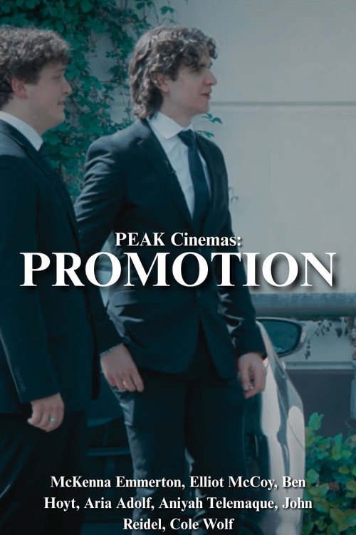 PROMOTION poster