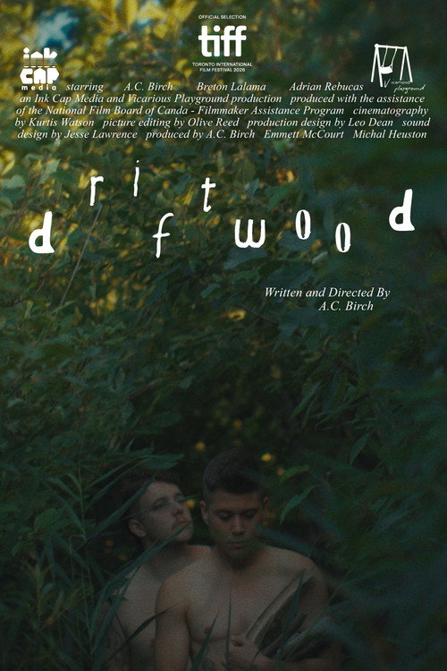 Driftwood poster