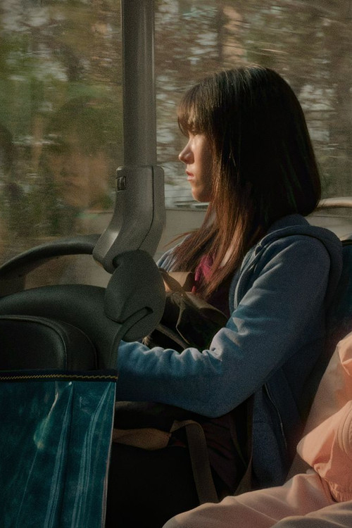 The Distant Home poster
