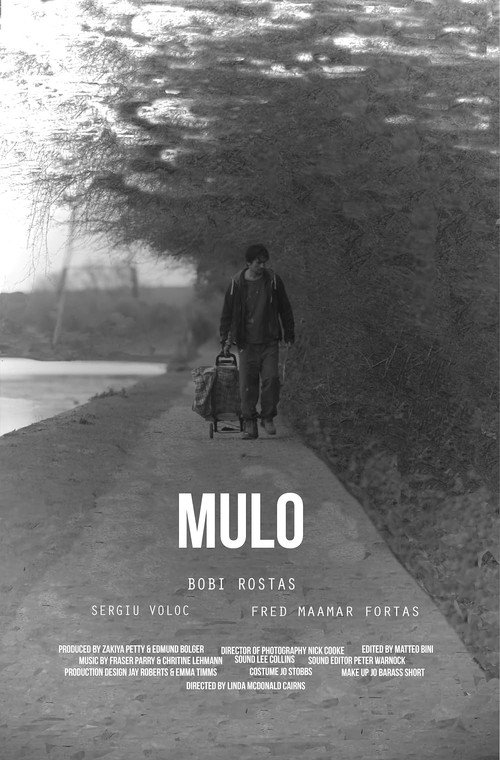 Mulo poster