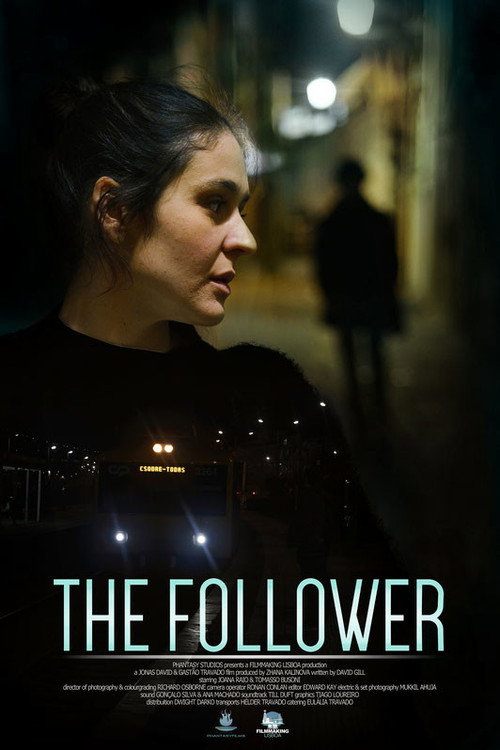 The Follower poster