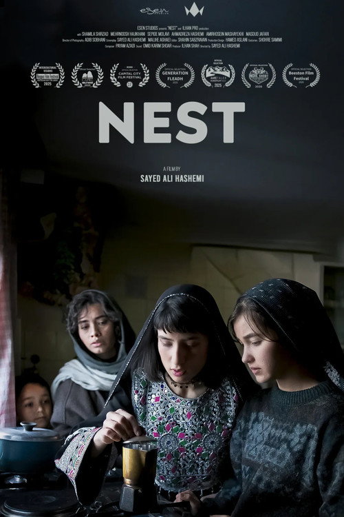 Ashianeh poster