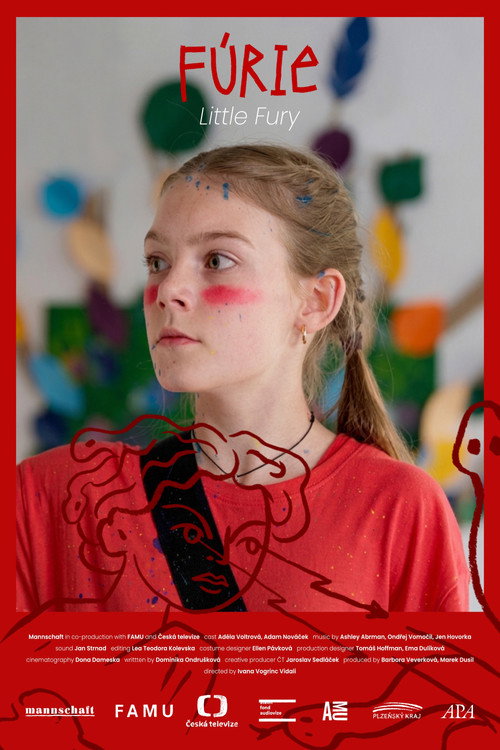 Little Fury poster
