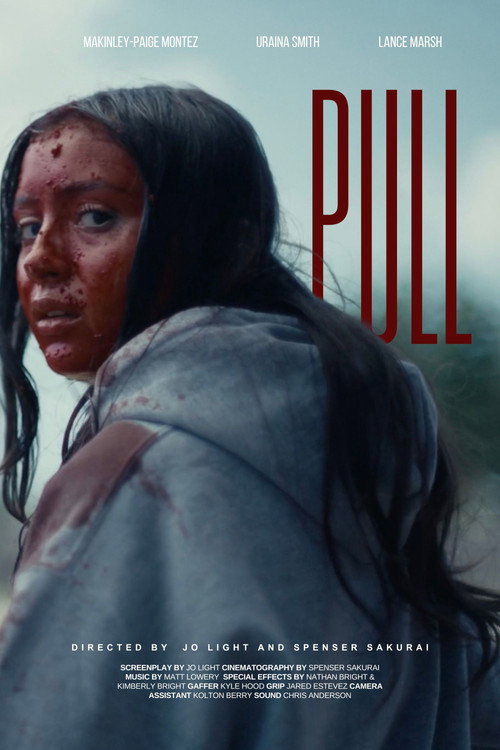 Pull poster